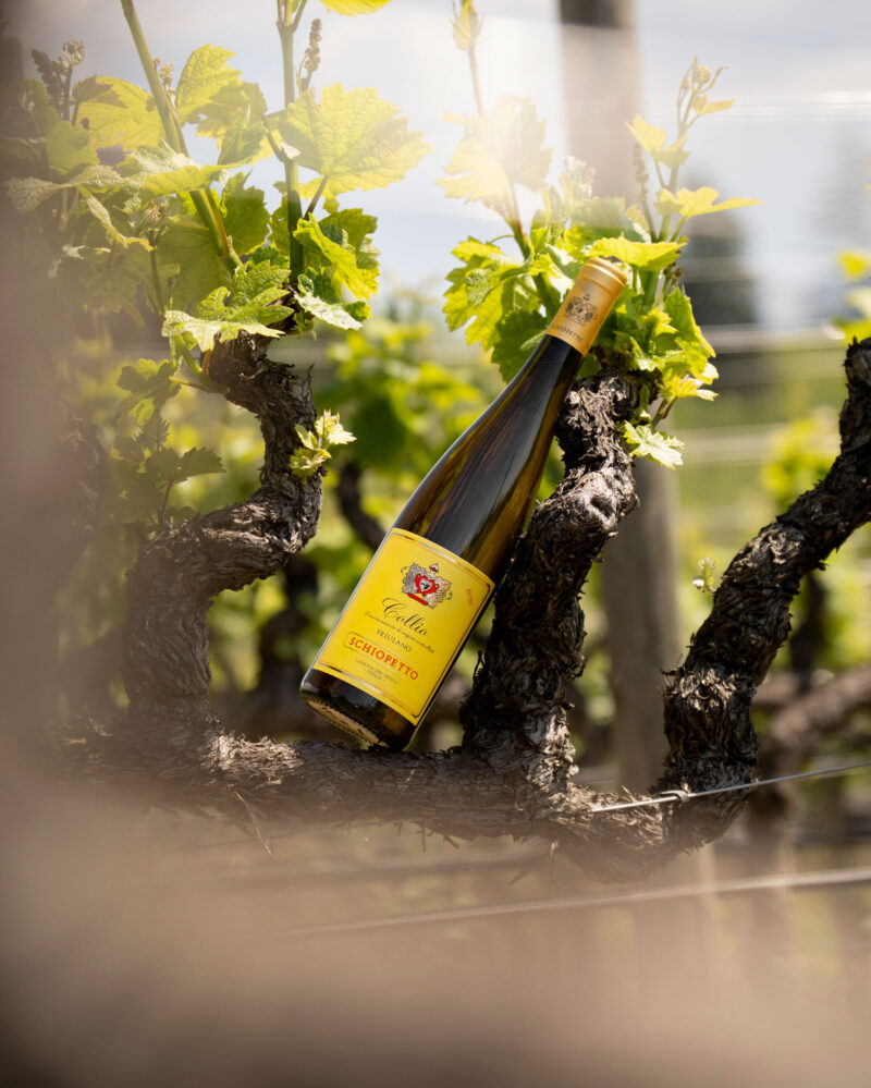 Schiopetto-OperaAdvertise-003